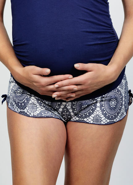 Cake Lingerie - Blue Berry Torte French Knicker :  nursing wear maternity clothing maternity maternity wear