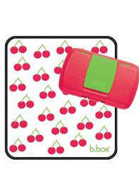 b.box® - Nappy Wallet in Cherry Delight