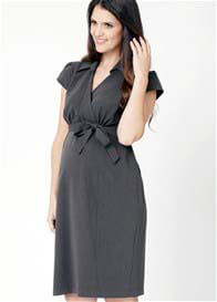 Ripe Maternity - Urban Career Dress