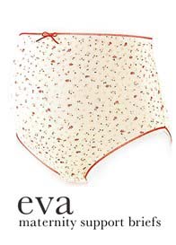 QueenBee - Eva Nursing/Maternity Bra or Support Briefs