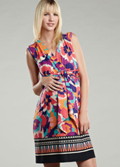 Maternal America Border Print Maternity Dress