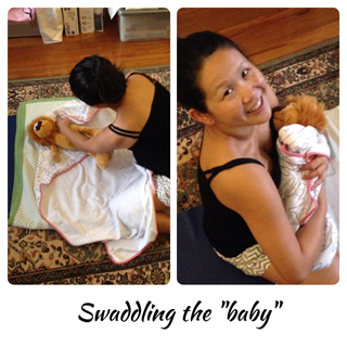Queen Bee Maternity Blog - Felicia: Antenatal Classes