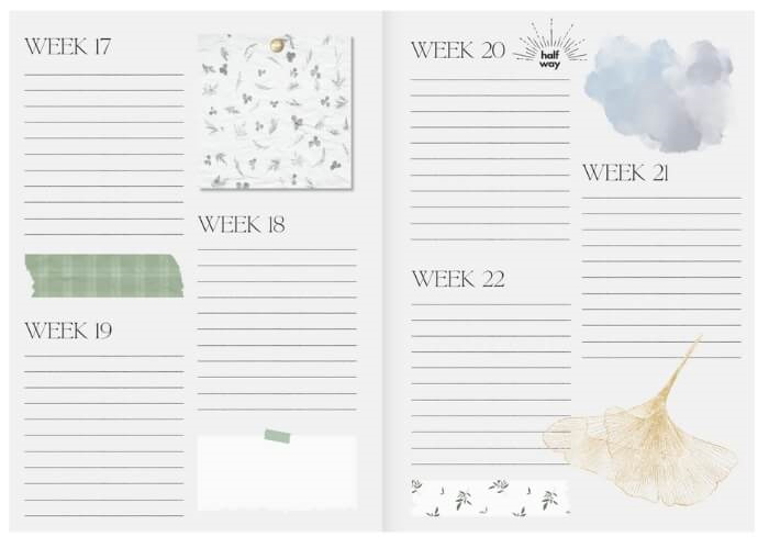 Koelle Pregnancy Journal Magazine