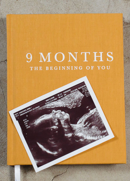 The Beginning of You 9 Months Pregnancy Journal by Write to Me