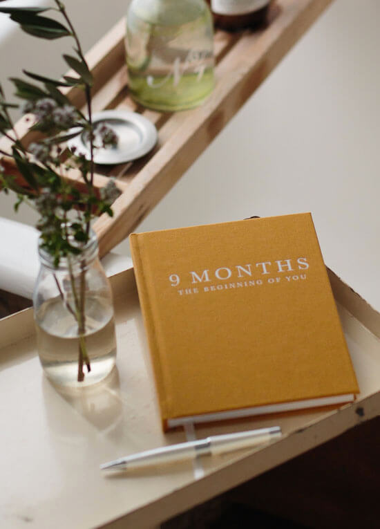 The Beginning of You 9 Months Pregnancy Journal by Write to Me