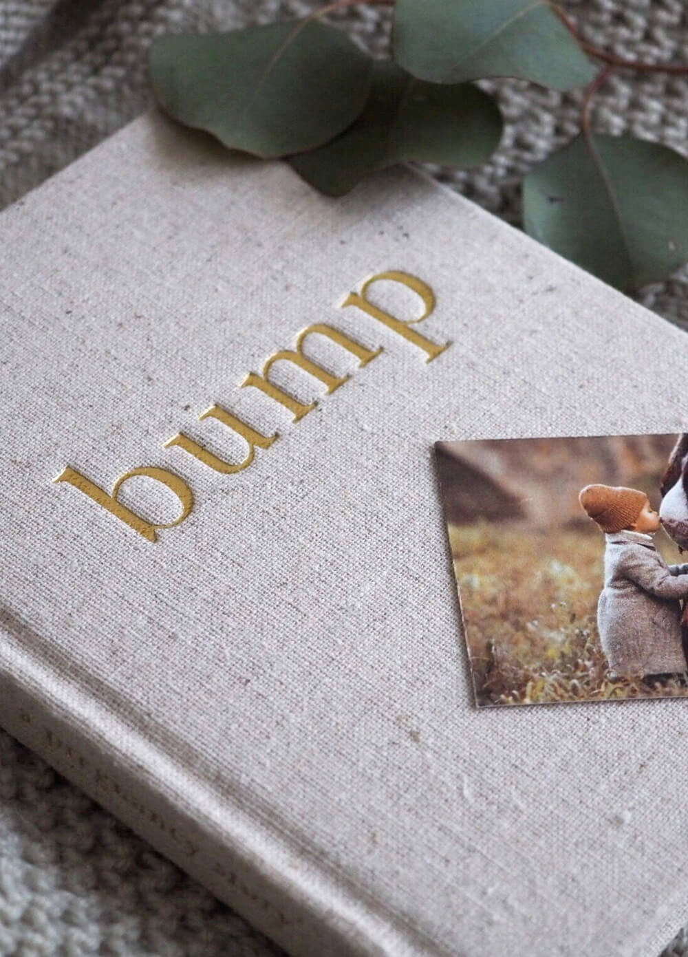 Bump, A Pregnancy Story by Write to Me