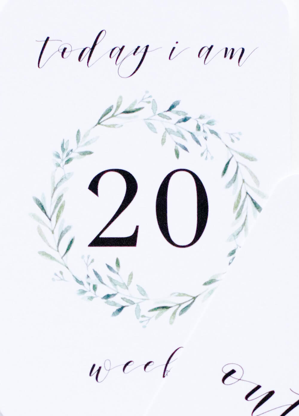 Pregnancy Milestone Cards in Lush by Blossom & Pear