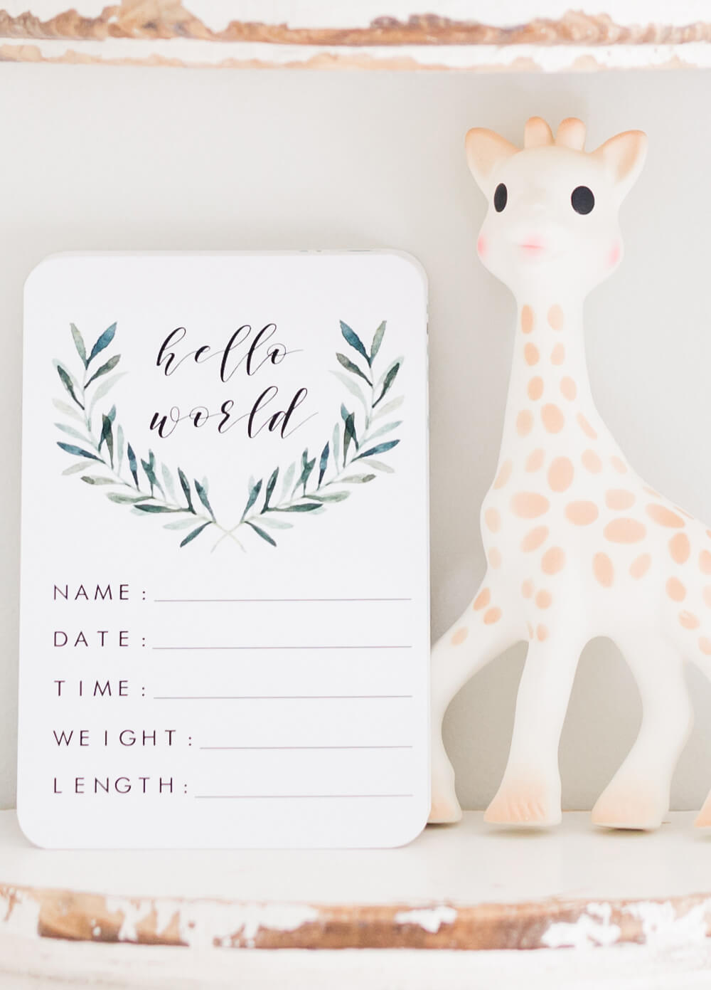 Unisex Baby Milestone Cards in Evergreen Design by Blossom & Pear