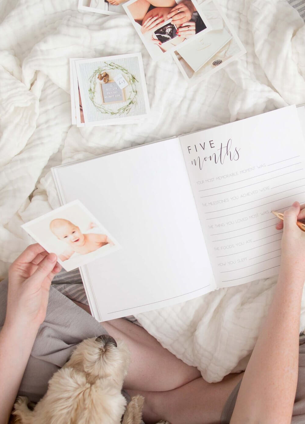 Hello Little Love Pregnancy & Baby Journal in White by Blossom & Pear