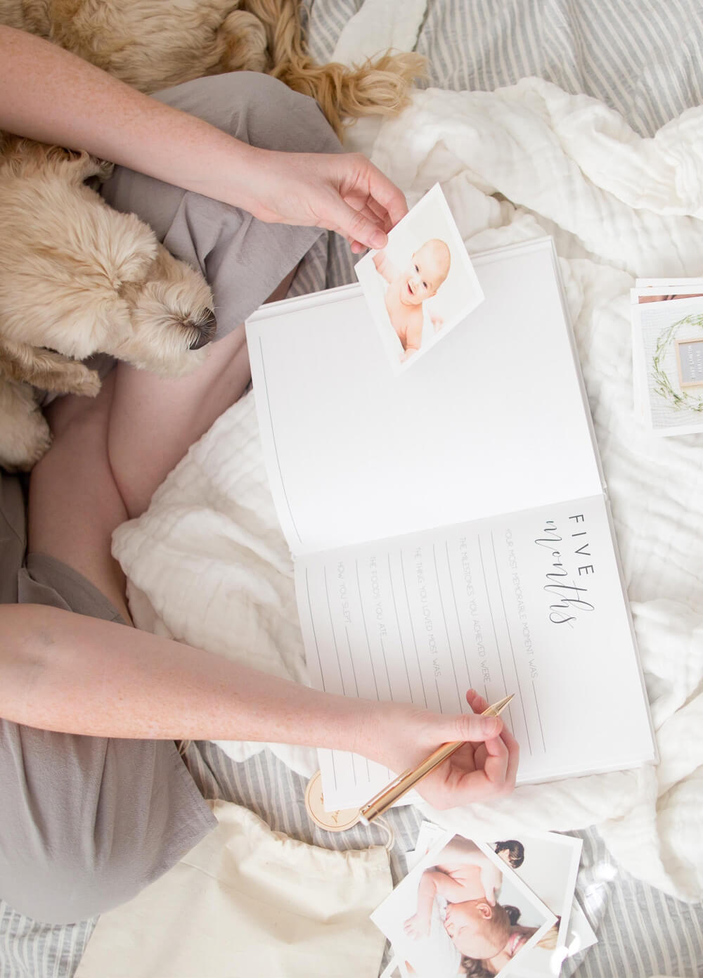 Hello Little Love Pregnancy & Baby Journal in White by Blossom & Pear