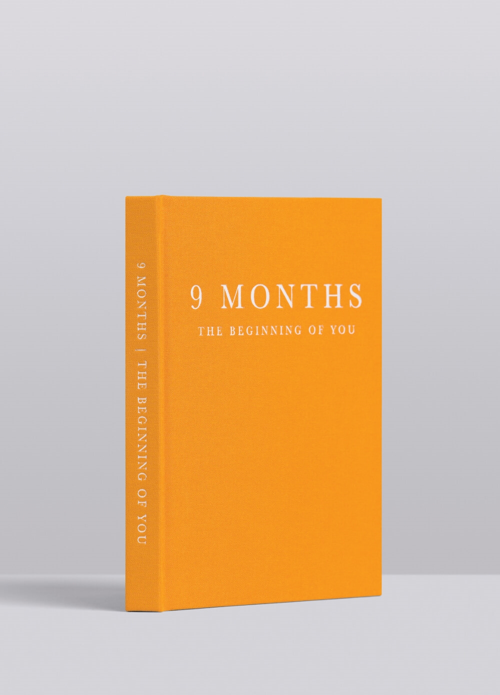 The Beginning of You 9 Months Pregnancy Journal by Write to Me