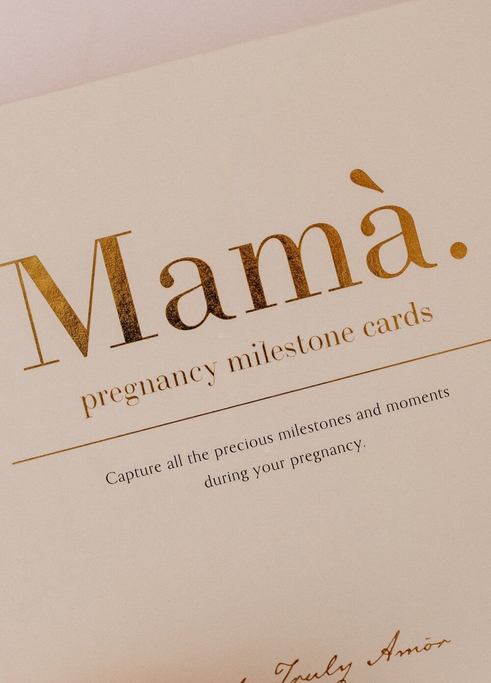 Truly Amor - Pregnancy Milestone Cards | Queen Bee