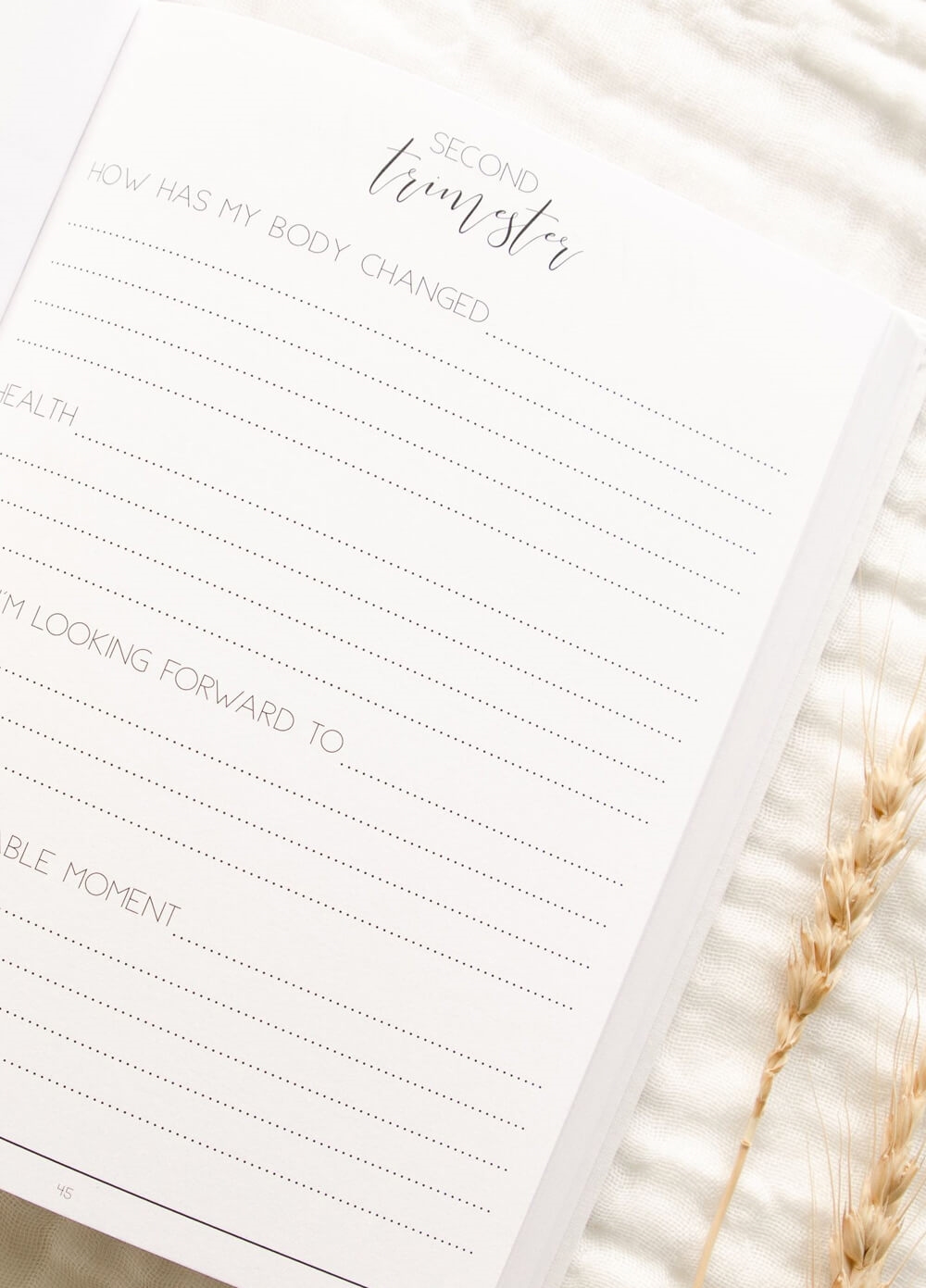 Hello Little Mama Pregnancy Journal in Sand by Blossom & Pear
