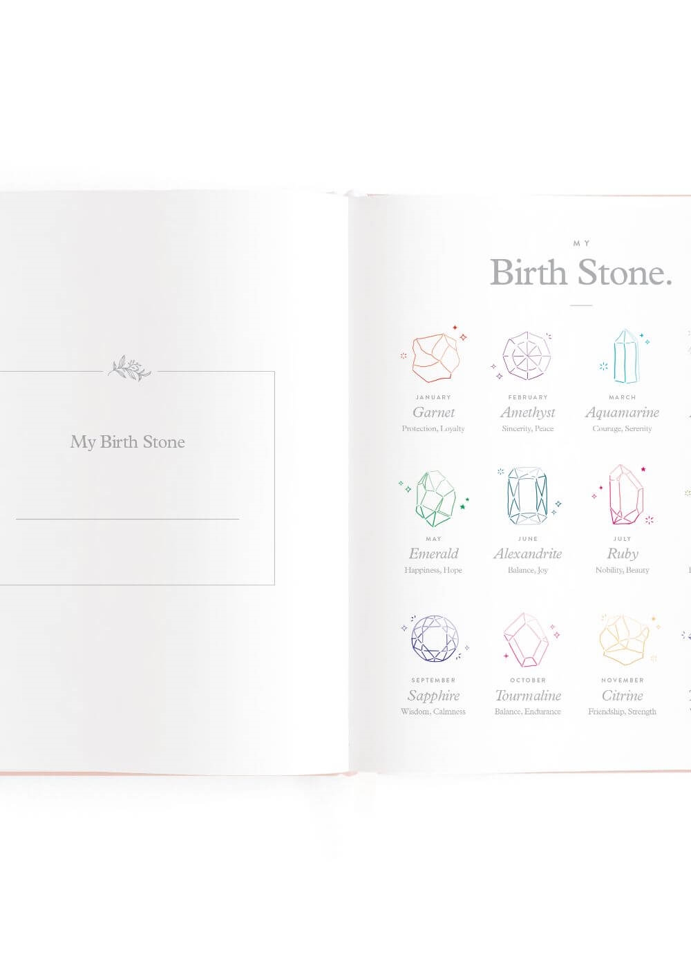 Fox & Fallow - Baby Book in Rose | Queen Bee