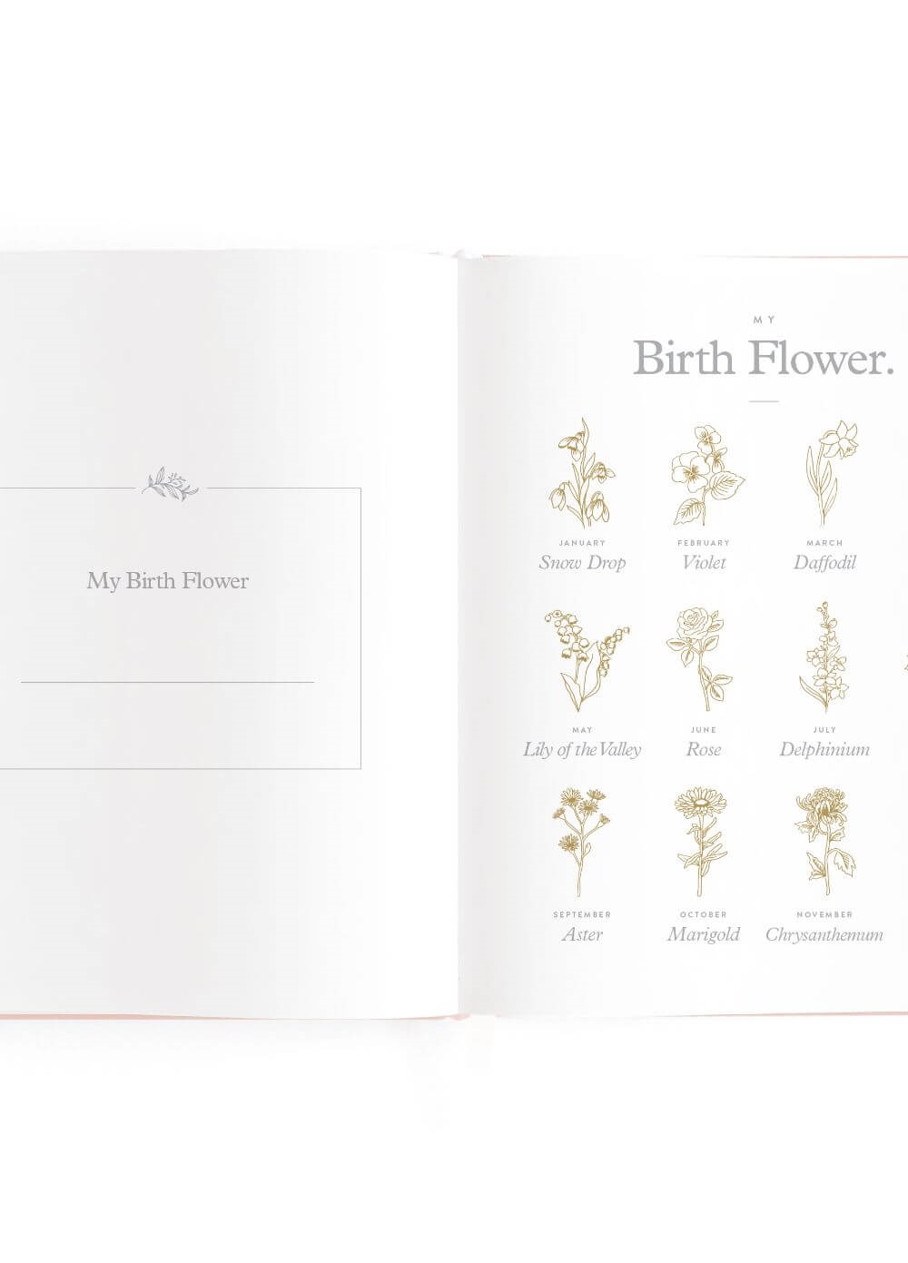 Fox & Fallow - Baby Book in Rose | Queen Bee