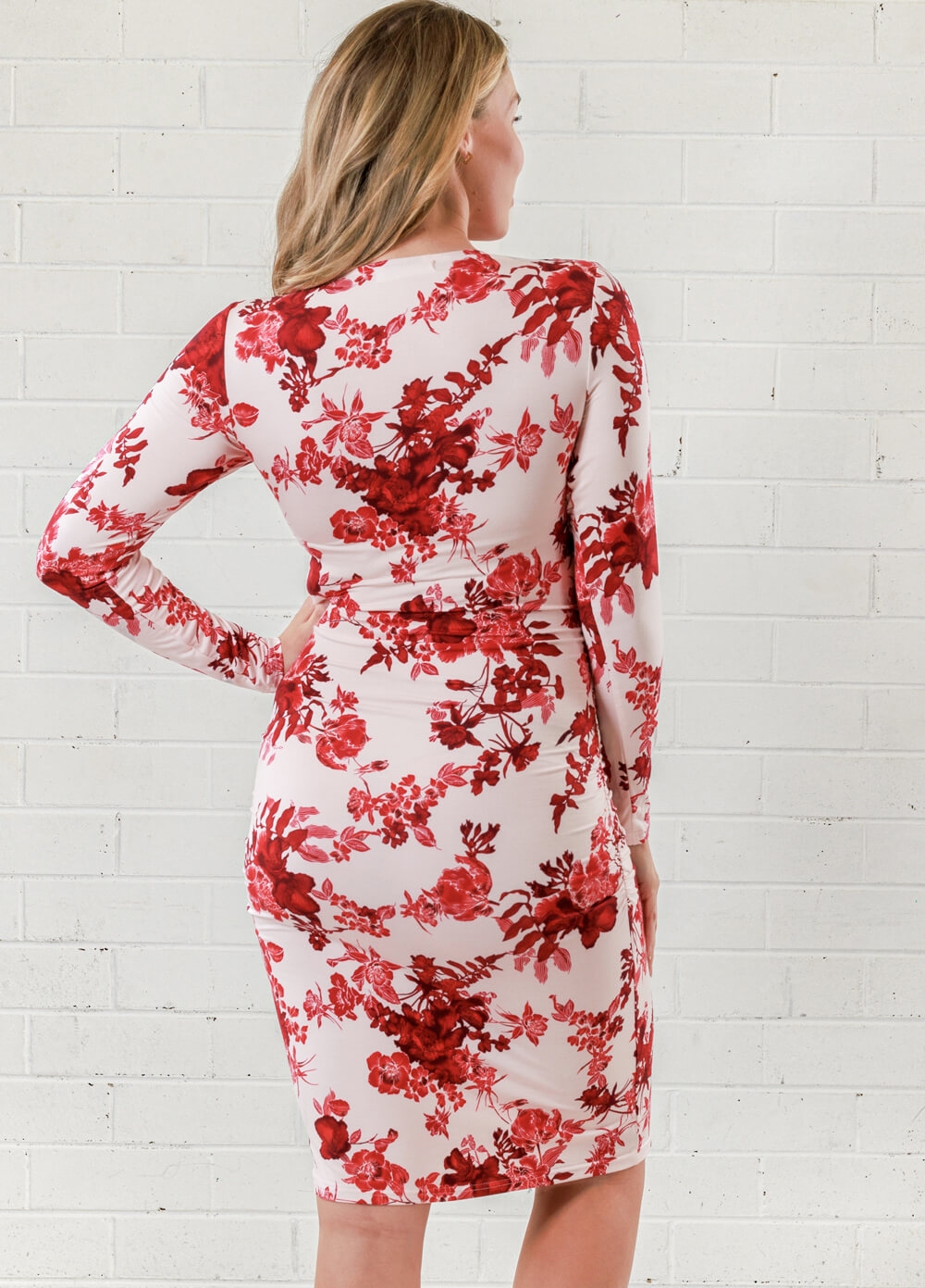 Lait & Co - Veronique Maternity Nursing Dress in Red Floral