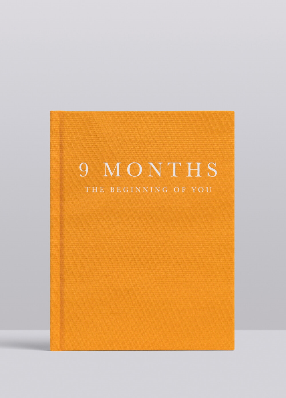 The Beginning of You 9 Months Pregnancy Journal by Write to Me