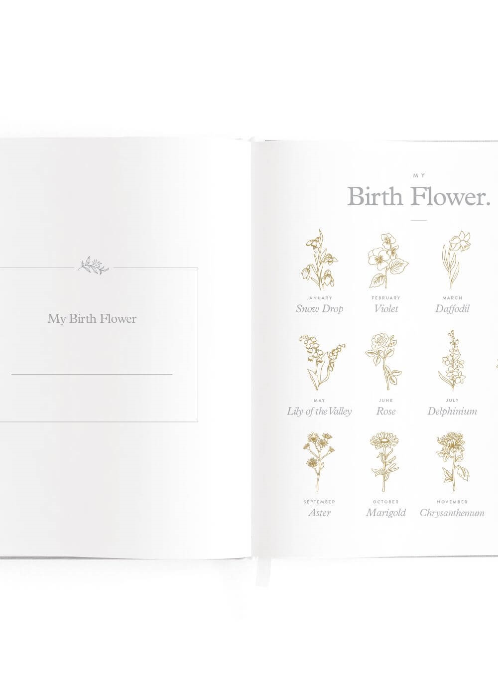 Fox & Fallow - Baby Book for Girls in Natural | Queen Bee