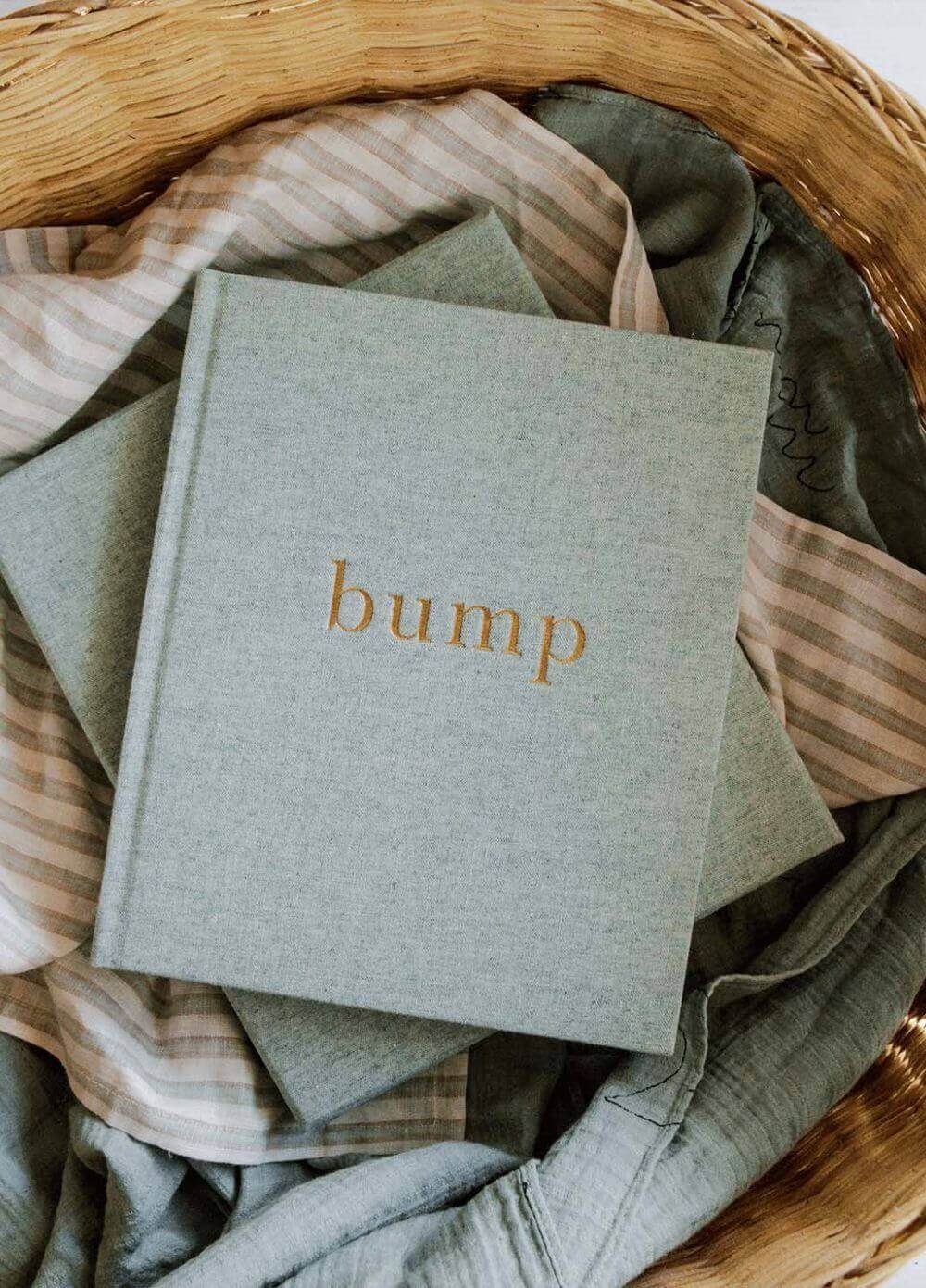 Write to Me - Bump Pregnancy Journal in Seafoam | Queen Bee