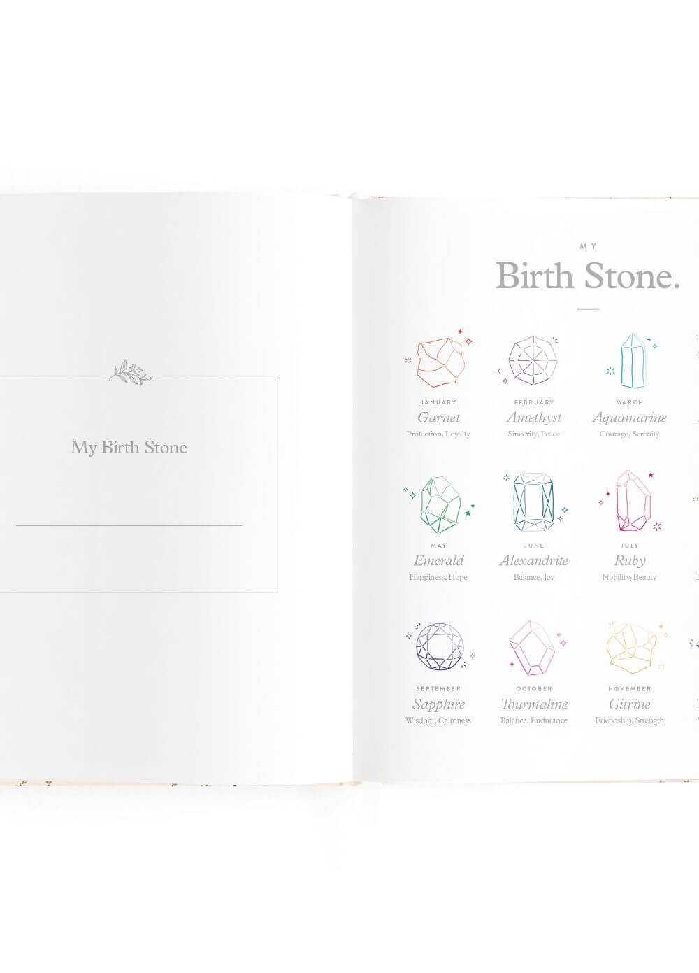 Fox & Fallow - Baby Book in Broderie | Queen Bee