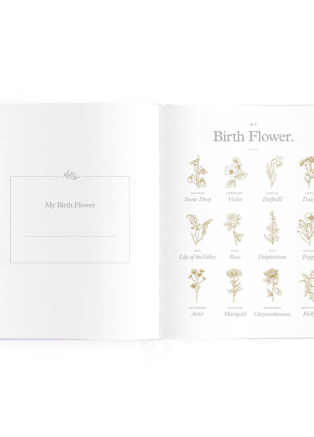 Fox & Fallow - Mini Baby Book in Lilac | Queen Bee