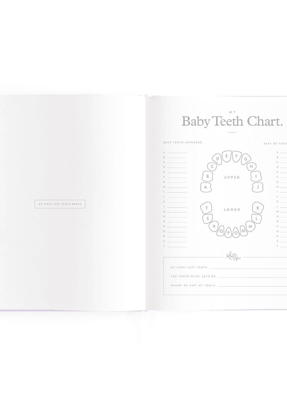 Fox & Fallow - Mini Baby Book in Lilac | Queen Bee