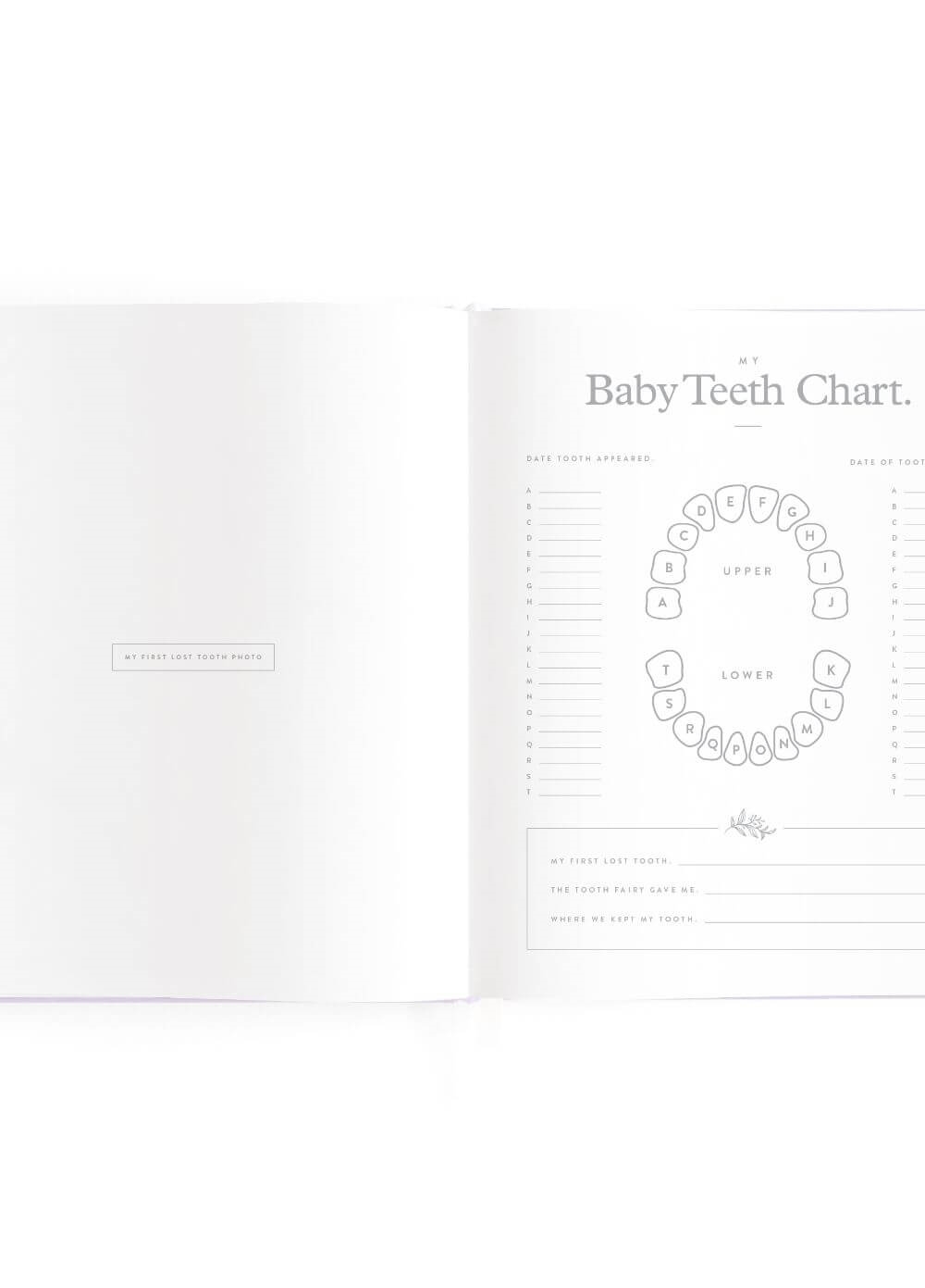 Fox & Fallow - Mini Baby Book in Lilac | Queen Bee