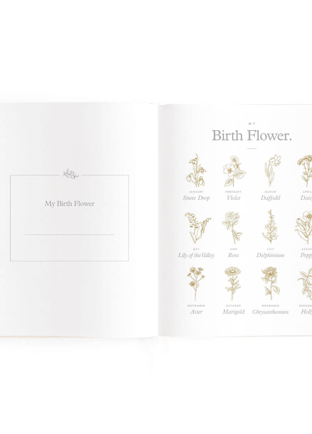 Fox & Fallow - Mini Baby Book in Oatmeal | Queen Bee