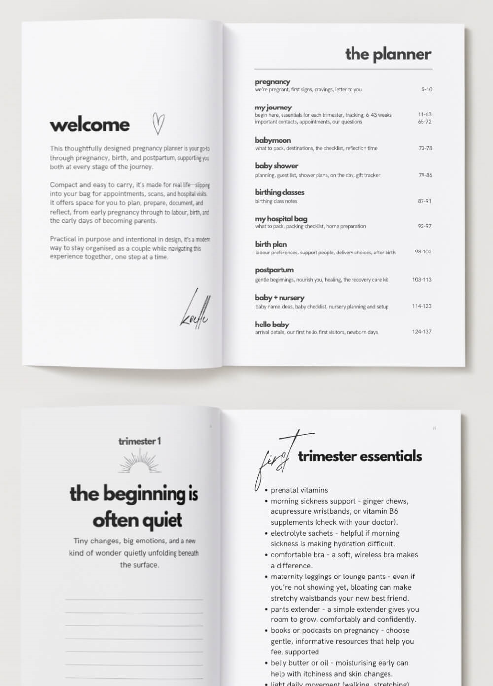 Were Pregnant Pregnancy Journal by Koelle Studio