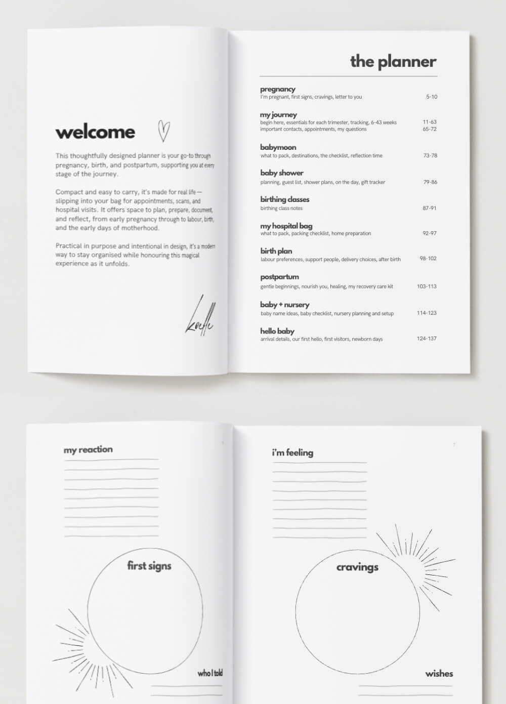 Pregnant: 9 Months, One Beautiful Beginning by Koelle Studio