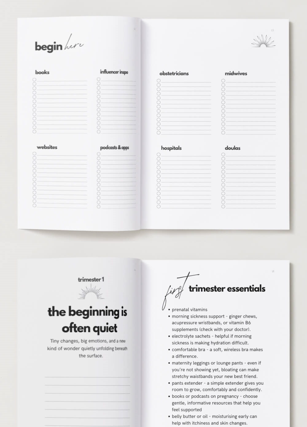 Pregnant: 9 Months, One Beautiful Beginning by Koelle Studio