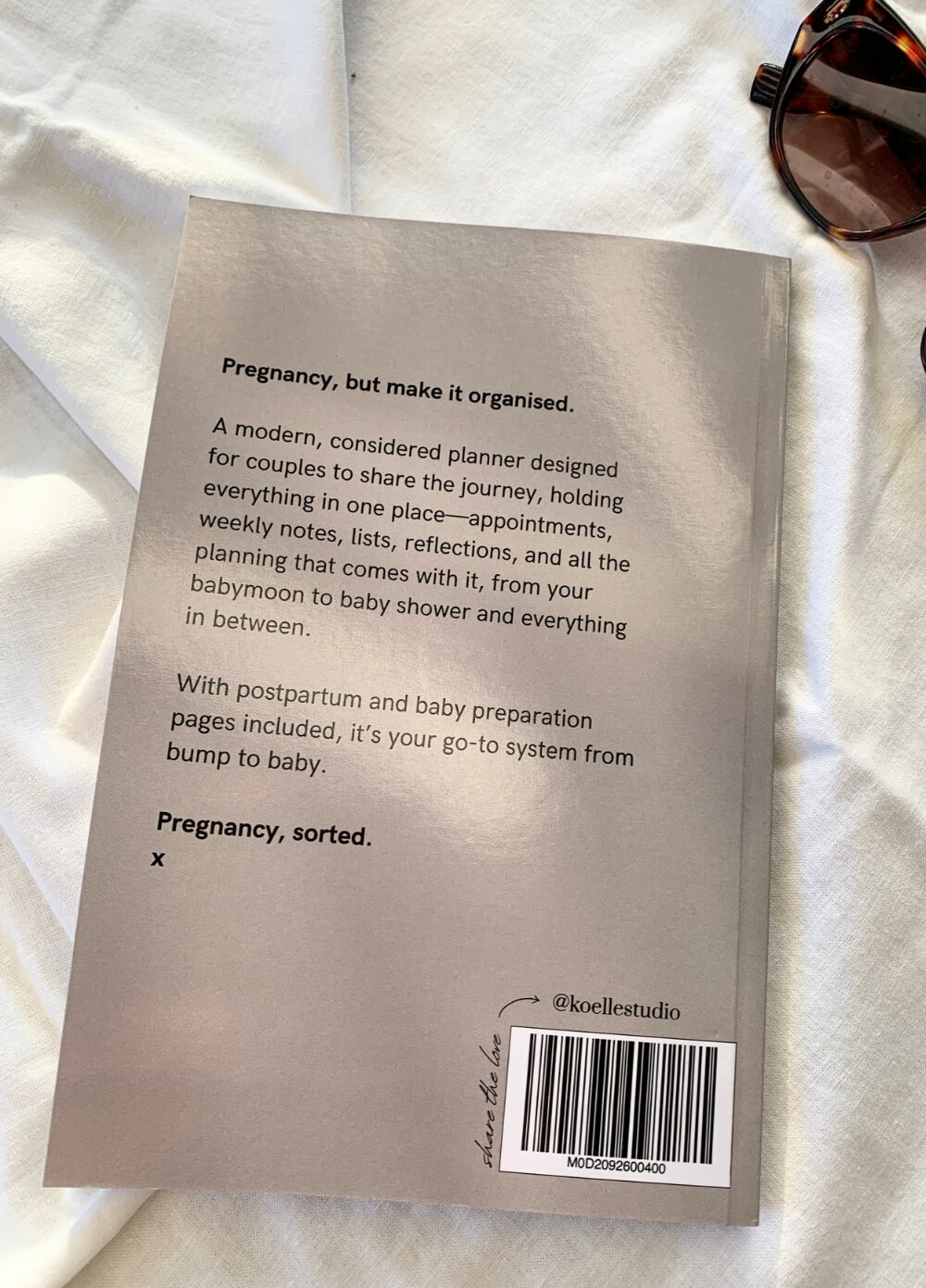 Hey Bae, Were Pregnant Journal by Koelle Studio