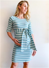 Trimester® - Calvin Sheath Pregnancy Dress