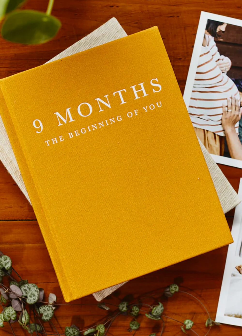 Write To Me - 9 Months Journal - The Beginning of You